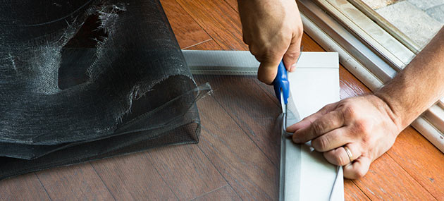 Window & Door Screen Services